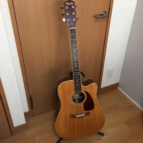 Chitarra elettrica acustica