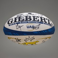 Argentina rugby ball squadra - argentina,