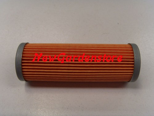Filtro carburante motore
