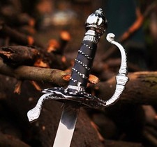 La leggenda di Zorro Rapier