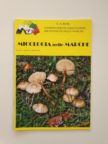 Micologia nelle marche - micologia,