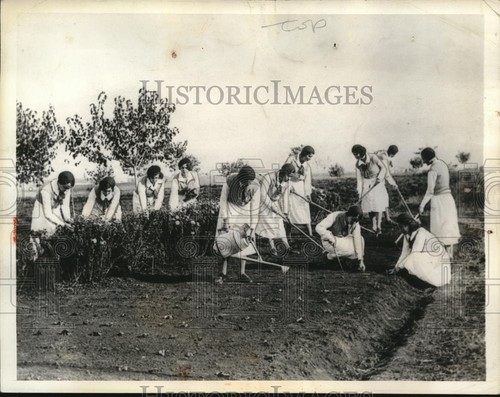 1934 press photo - press,
