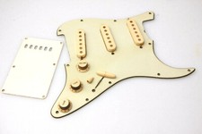 Battipenna ST-62' Aged Ass