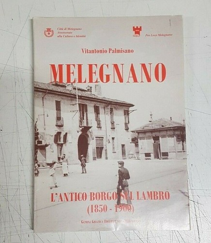 Melegnano antico borgo - l'antico, sul
