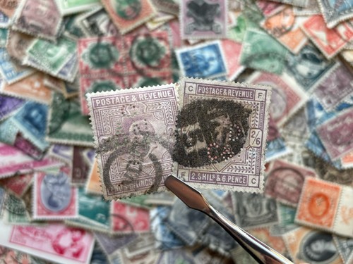 Collezione francobolli tutto
