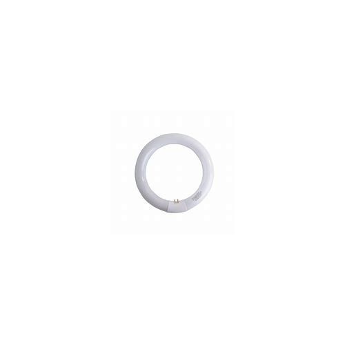 Neon circolare trifosforo - neon,