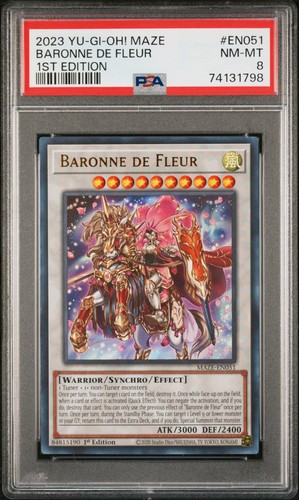Baronne fleur labirinto - labirinto, di