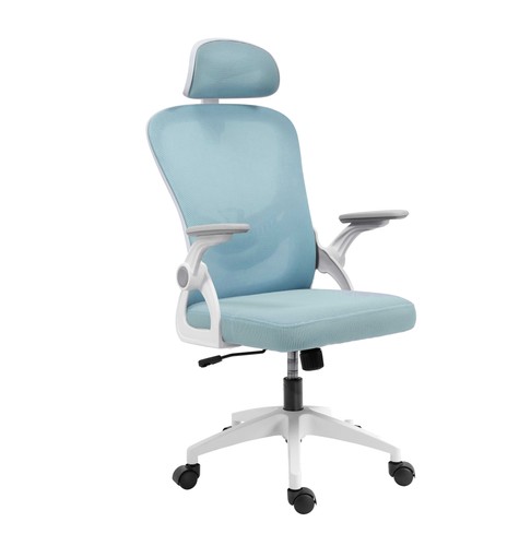 Sedia turchese ergonomica - turchese,