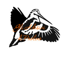Adesivo beccaccia scolopax - beccaccia,