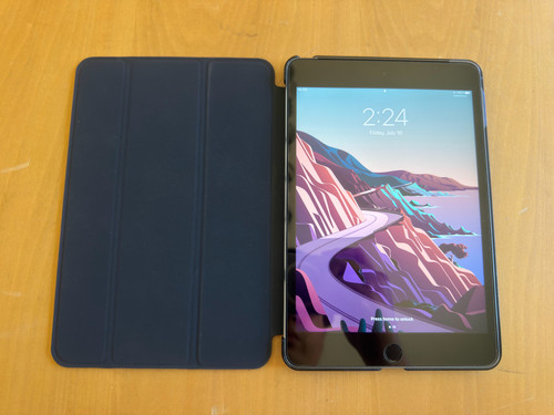 Apple ipad mini - ipad,