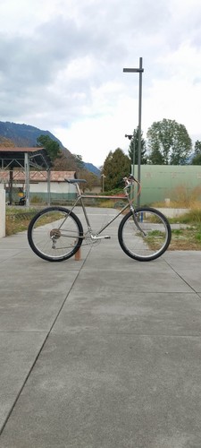 Pinarello antelao vintage mtb - vintage,