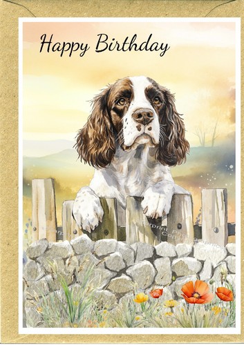Biglietto compleanno springer - compleanno,