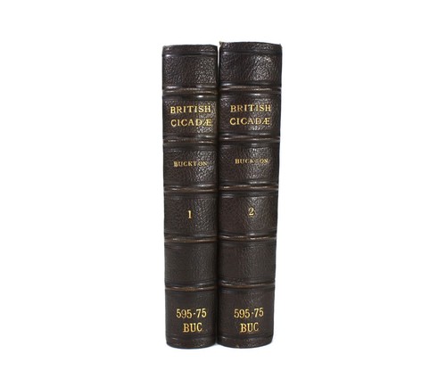 Monograph the british - of,