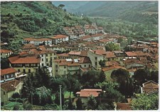 DICOMANO - FIRENZE - PANORAMA