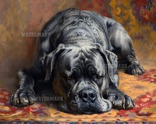 Cane Corso Sognando su Tappeto