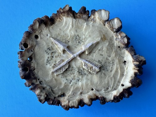 Fibbia cintura rosetta - , vintage