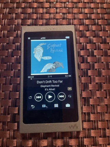 Sony a46 lettore audio - nw-a46,