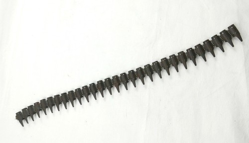 Militare esercito cintura - militare,