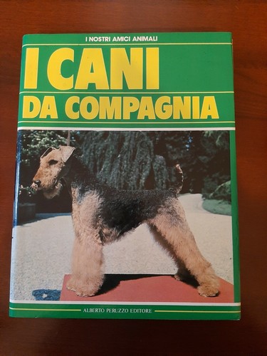 Cani compagnia - cani,