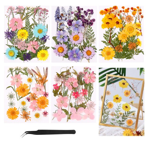 Fiori secchi per decorazioni - per,