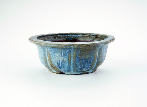 Vaso bonsai artigianale