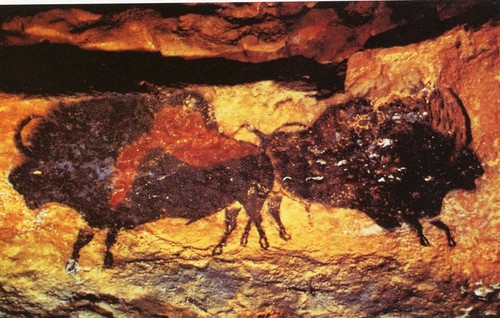 Bisonte delle grotte lascaux - delle,