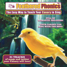 Feathered Phonics #7 CD