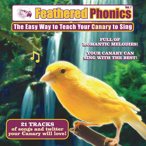 Feathered phonics teach - feathered, #7