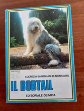 Il Bobtail di Lucrezia
