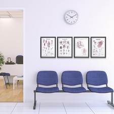  4 pz Anatomia Umana Poster