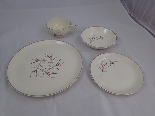 Salem china bone - china, pink