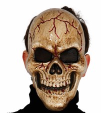 Umano Teschio Viso Plastica