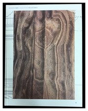 Catalogo d'Arte  Luciano Fabro  L'araba fenice  Reggio Emilia  Gli Ori (2005)