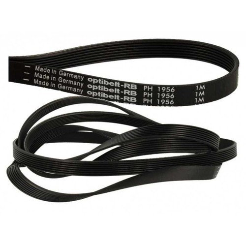 Cinghia elastica per - cinghia,
