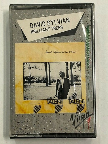 David sylvian brilliant - -,
