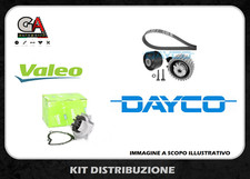 Kit cinghia distribuzione fiat - cinghia,