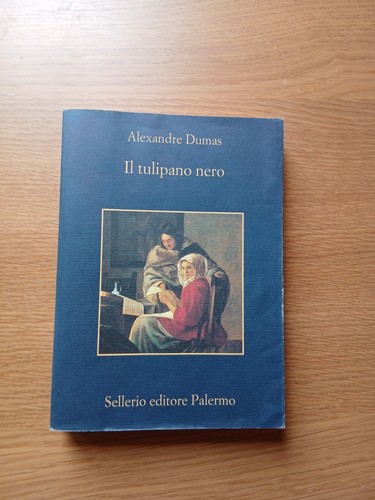 Tulipano nero alexandre - tulipano,