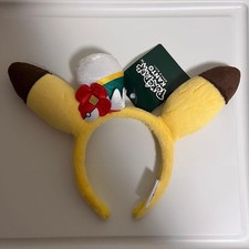 Costume Carnevale Poke Park