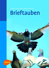 Piccioni Viaggiatori