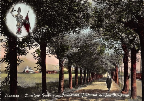 Cartolina pianezza viale con - cartolina,