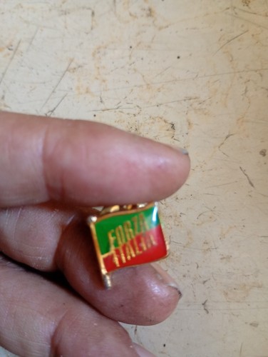 Spilla forza italia pin - spilla, s