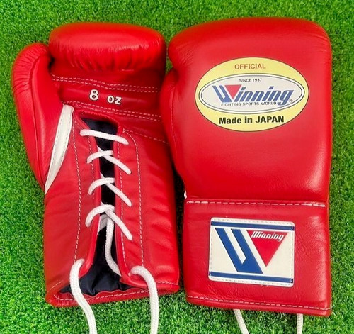 Guantoni boxe vincenti - da,