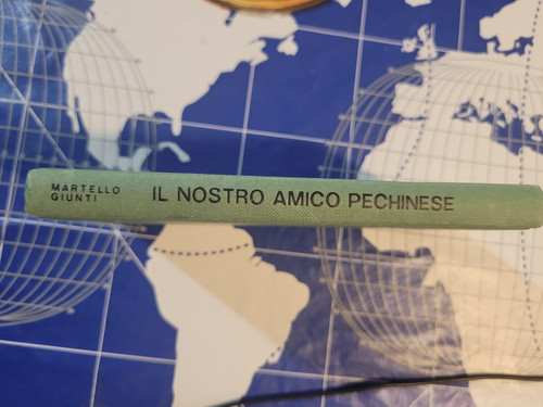 Nostro amico pechinese - il,