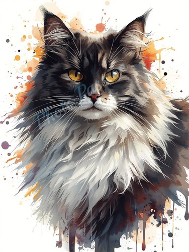 Poster illustrazione artistica - poster,