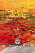 THE AESTHETIC EXPERIENCE