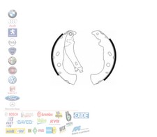 GANASCE FRENO POSTERIORE FIAT