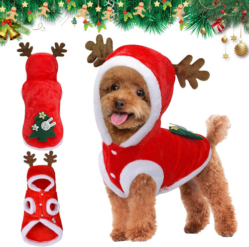 Natale animale domestico - natale,
