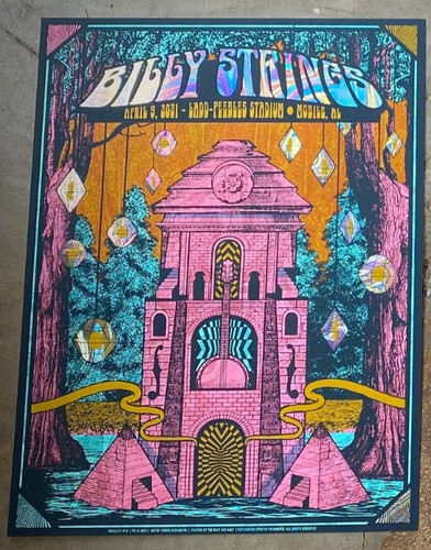 Poster lamina billy strings - in,