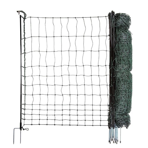 Recinto per cani - cani, strongline