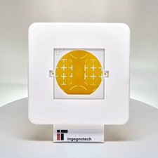 Placca Shelly Wall Display